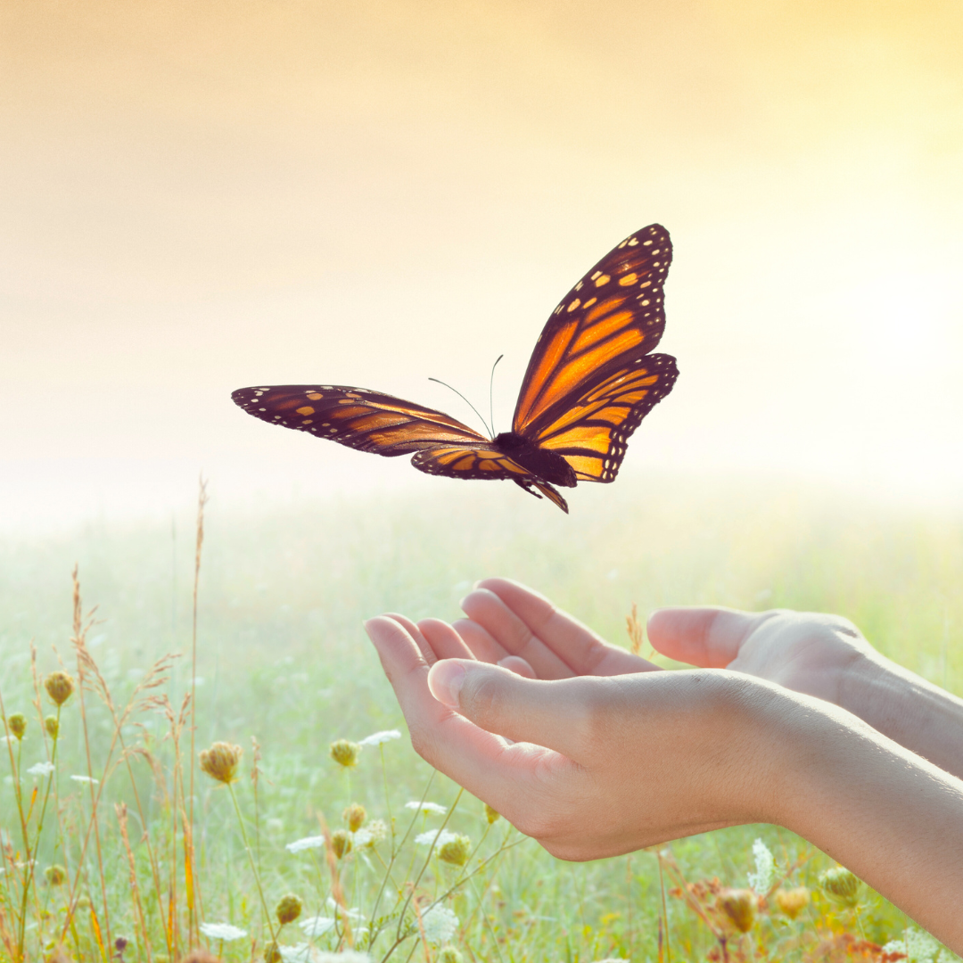 Copie de Copie de Sans titre (1).png