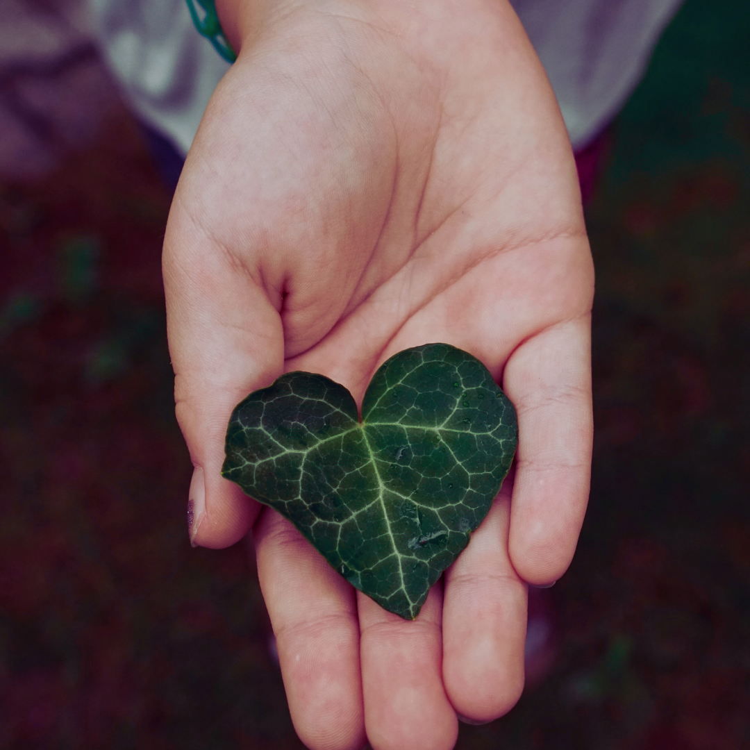 Copie de Copie de Copie de Copie de Sans titre.png