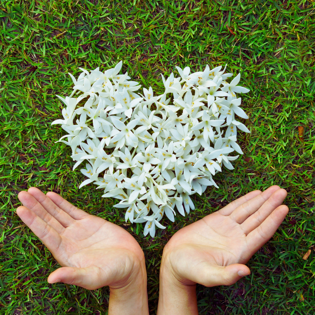 image site web (1).png