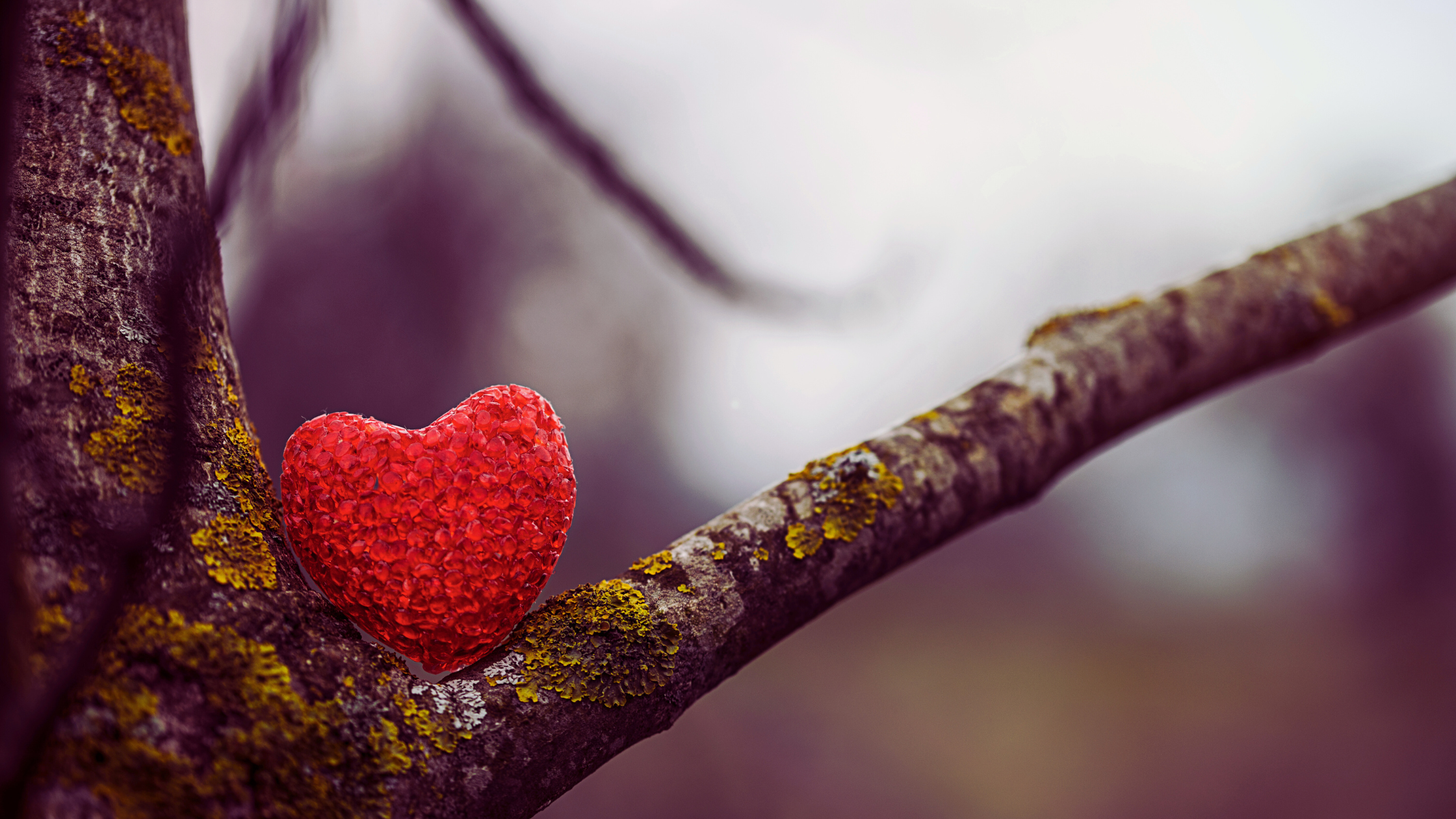 Une visibilité à ton image (1).png